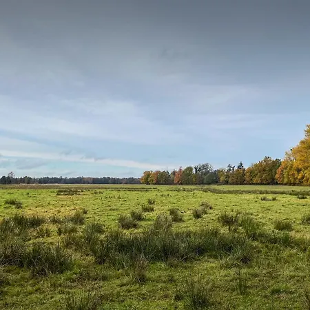 Barthel Gosen-Neu Zittau