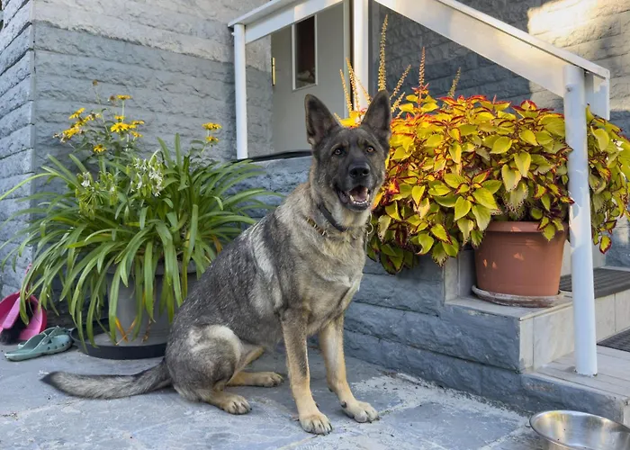 Apartamento Gaestehaus Barthel