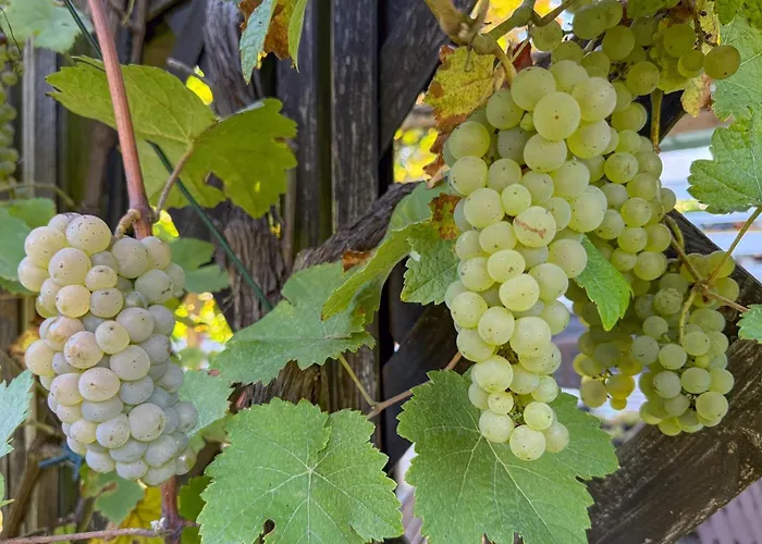 Apartamento Gaestehaus Barthel Gosen-Neu Zittau